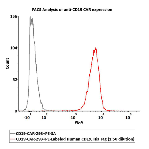 CD9-HP2H3-F1.jpg