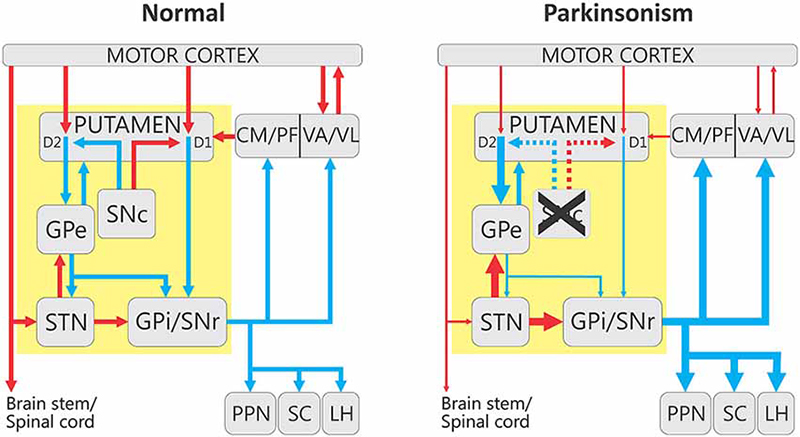 Proteins for Neuroscience