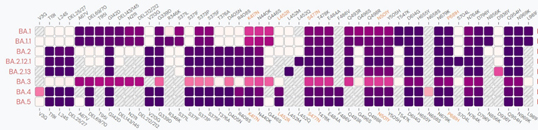 Mutation sites of Omicron lineages