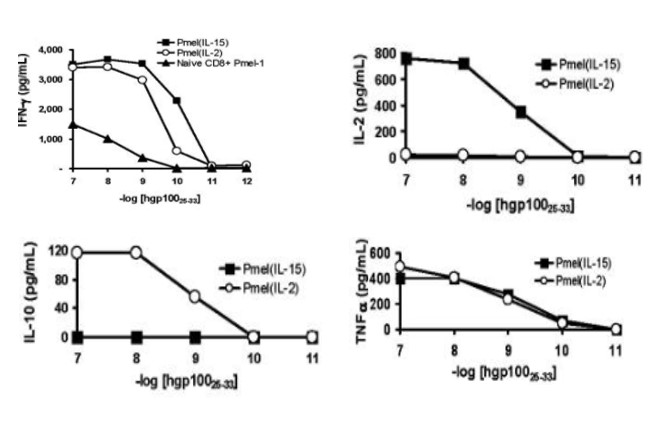 IL-15 prompts T cells to secrete more antitumor factors