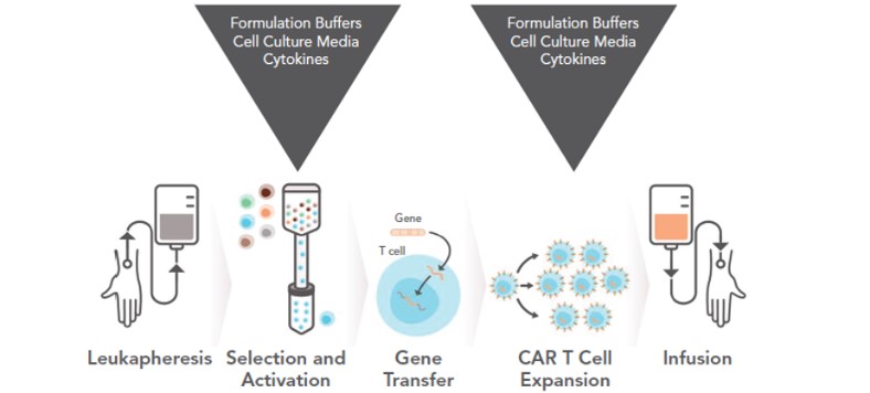 The development of CAR-T requires cytokines and other culture materials