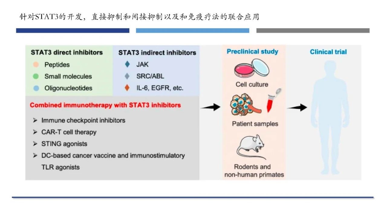 Targets STAT3 inhibitors and combination immunotherapy