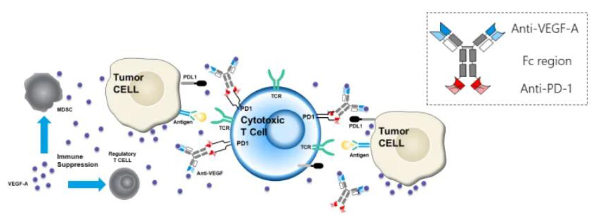 Mechanism of action of AK112