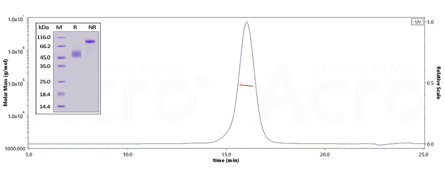 CD3E&CD3D-SEC-MALS