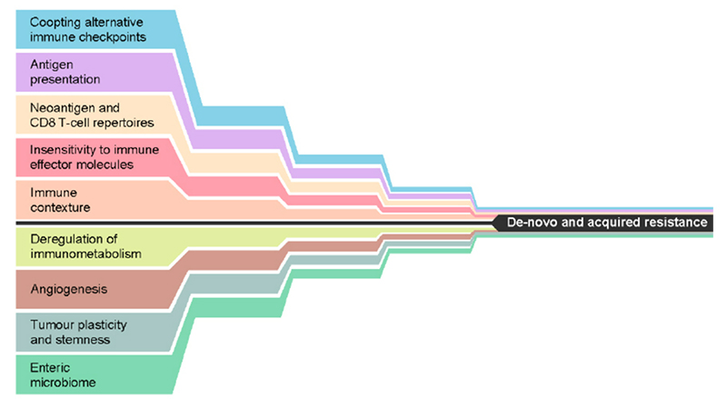 Mechanisms that may either alone, or in combination, lead to de novo or acquired resistance to immune checkpoint inhibition. Reproduced from Fares, et al.