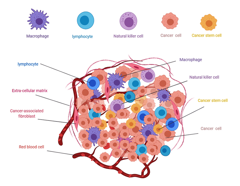 This contributes directly to primary resistance of IC inhibitor therapy