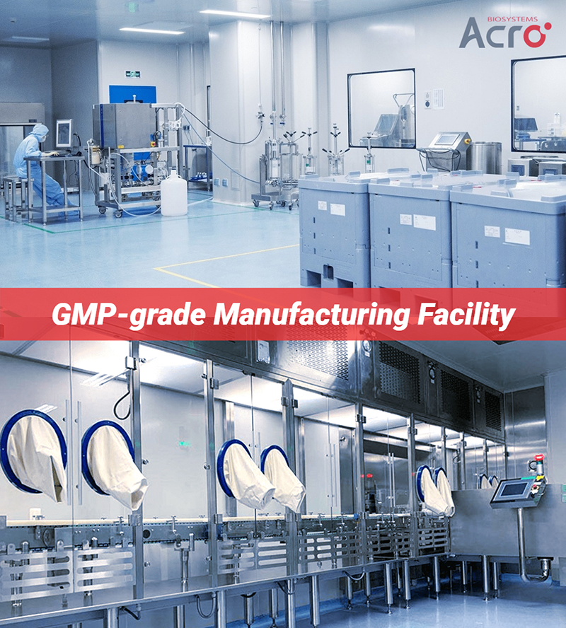 GMP grade manufacturing facility