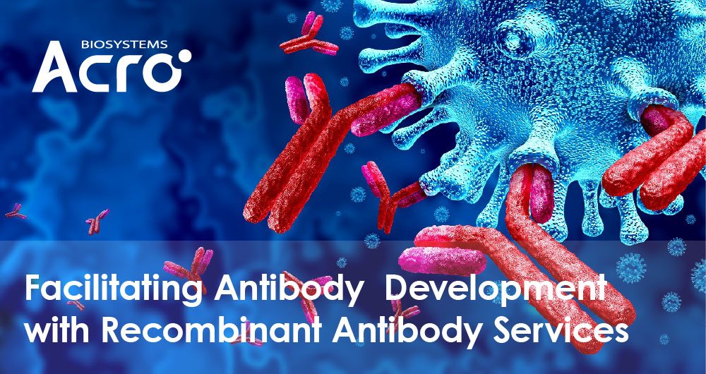 Facilitating Antibody  Development with Recombinant Antibody Services