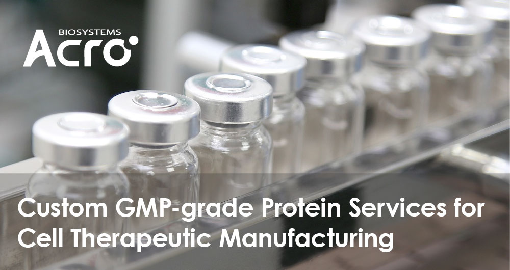 Custom GMP-grade Protein Services for Cell Therapeutic Manufacturing