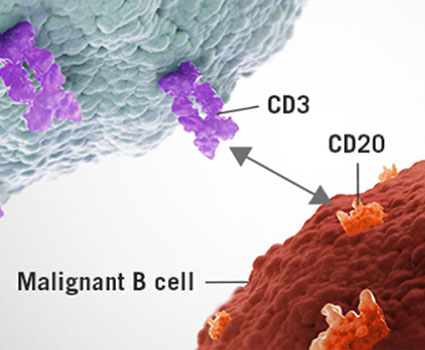 Bispecific T-cell Engagers (BiTEs) 