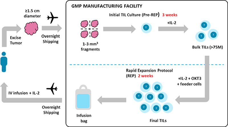 Special Topic on Deep Interpretation of GMP Product Quality--Topic 1