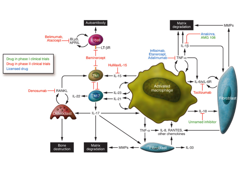 Rheumatoid Arthritis