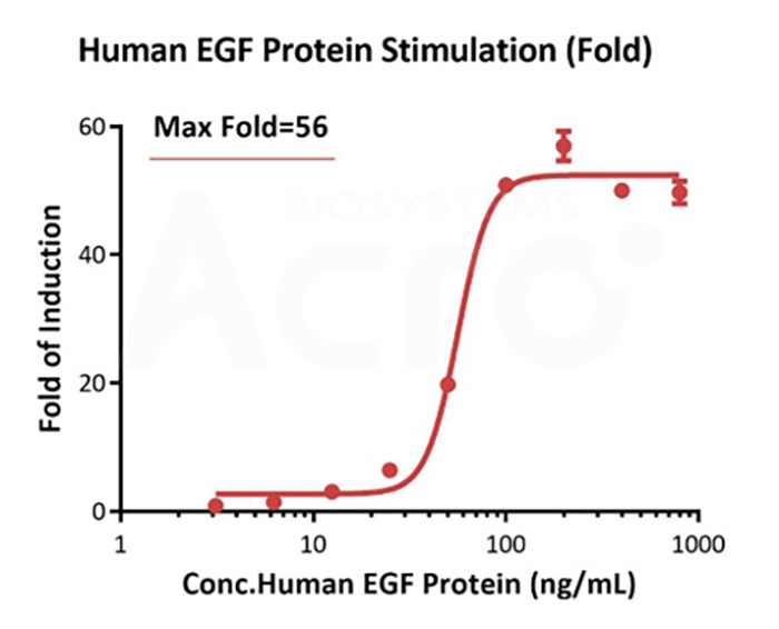 Highly Validated Growth Factors/Cytokines Driving Advances in Organoid Research