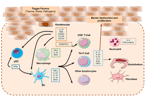 Interpreting the Association Between Cytokines and Autoimmune Diseases