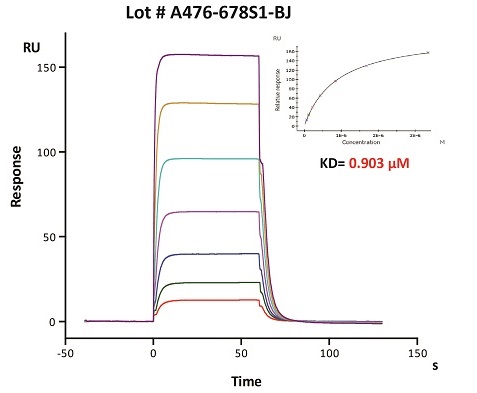 Biosimilar-fig6-3.jpg