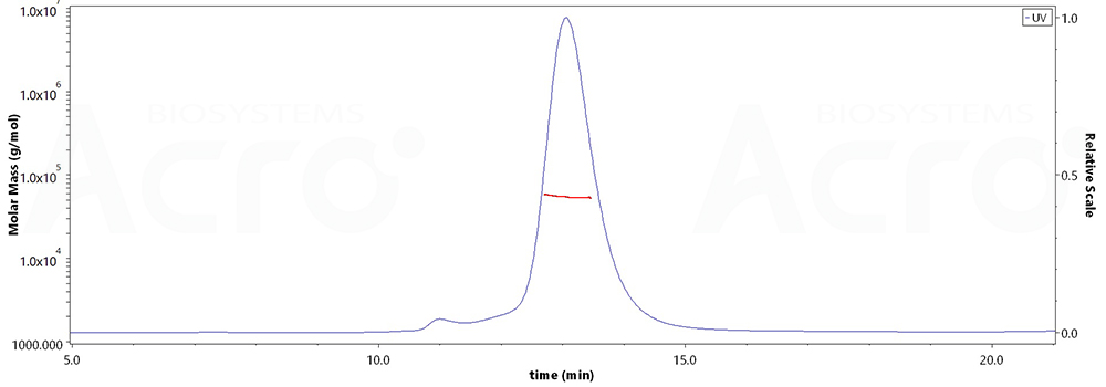 Glycoprotein C/gC (HSV)