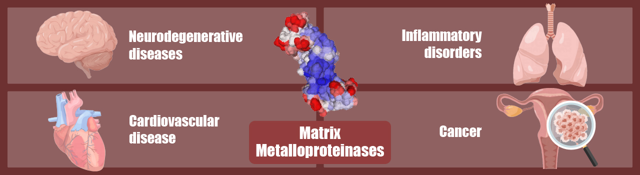 Métalloprotéinases matricielles