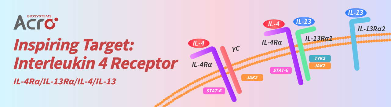 Inspiring Target: Interleukin 4 Receptor