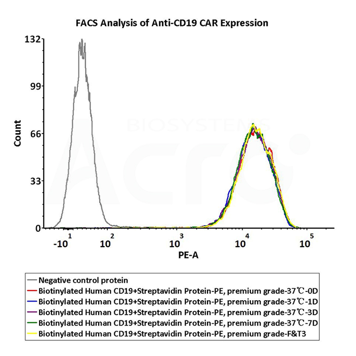 Application data for PE labeled SA protein(FACS)