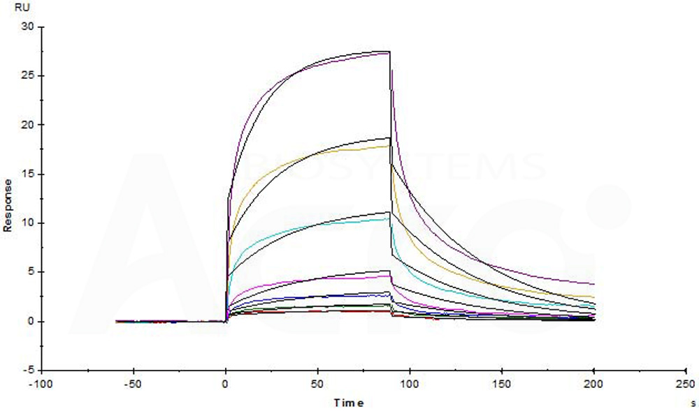 High biological activity verified by SPR & BLI