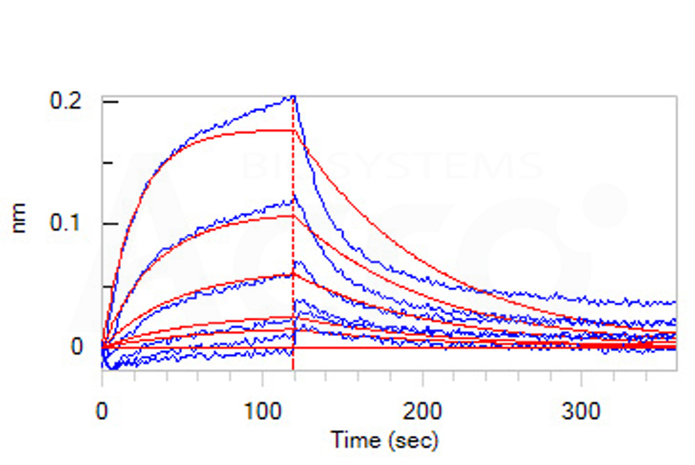 High biological activity verified by SPR & BLI