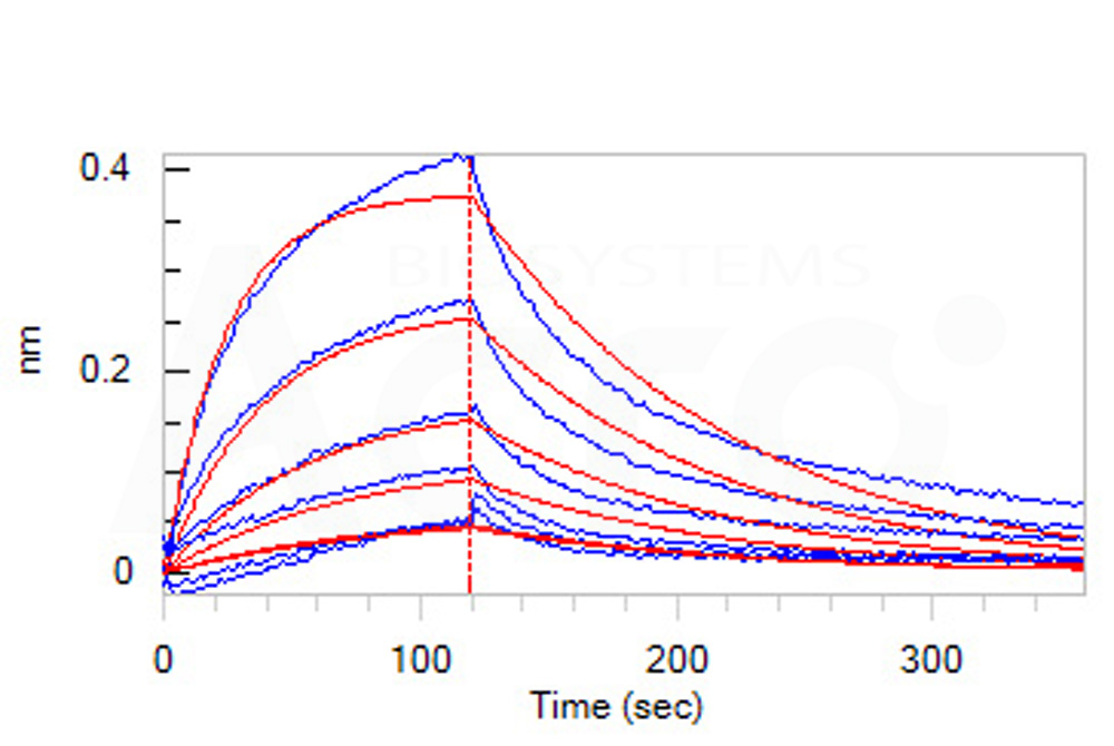 High biological activity verified by SPR & BLI