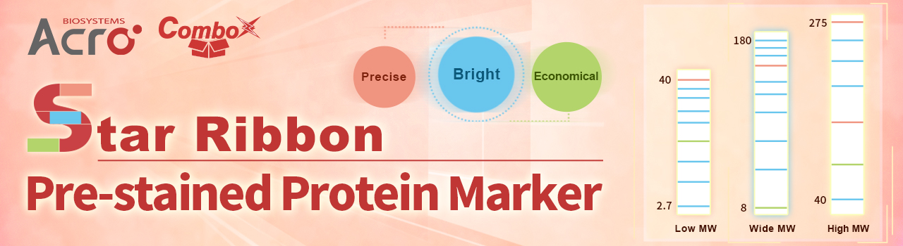 Star Ribbon Pre-stained Protein Marker