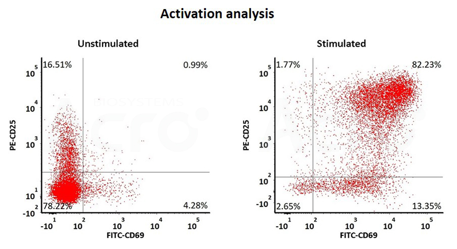 T cell Activation