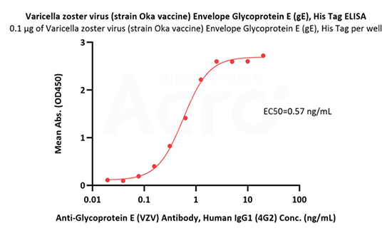 gE Recombinant Protein