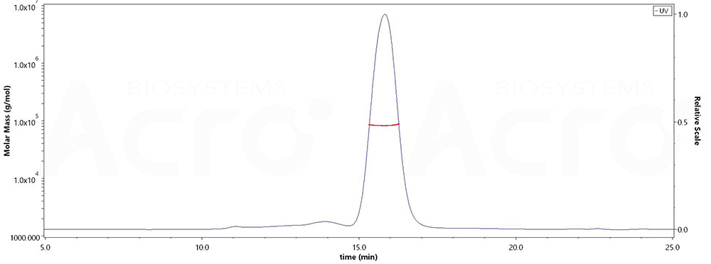 HER2, MALS-validated protein