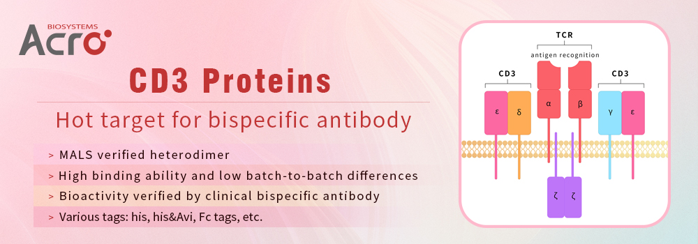 CD3 Proteins