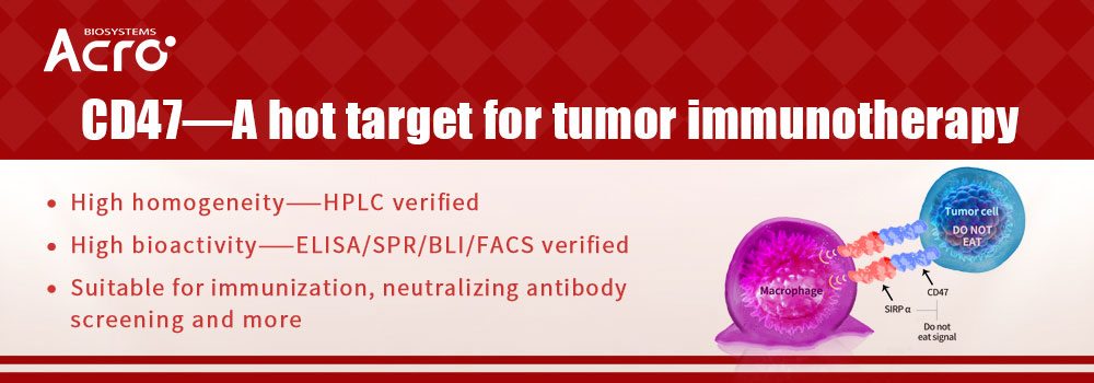 Leukocyte Surface Antigen CD47