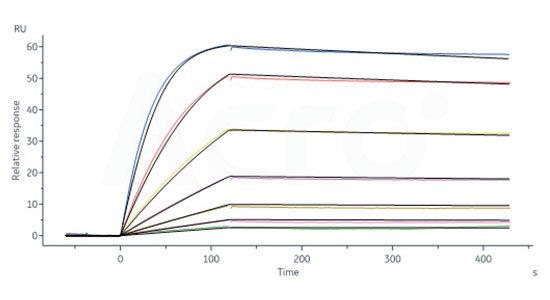 Affinity validation data of IL-2 and IL-2 receptor protein (SPR) 