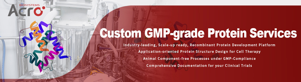 Custom GMP-grade Protein Services