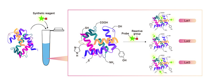 Traditional Chemical Labeling