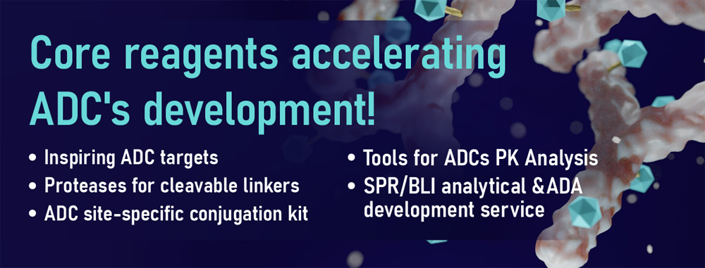 Targets-for-Antibody-Drug-Conjugates