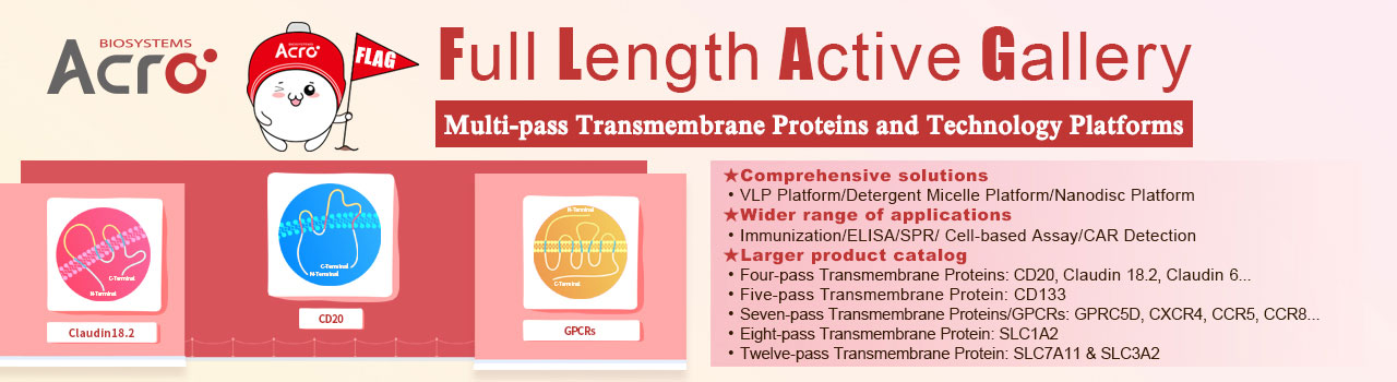 CD63: A Versatile Target in Cancer Diagnostics and Therapeutics