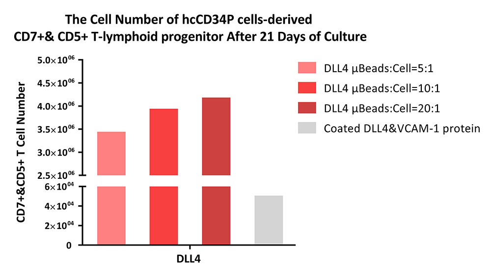  DLL4 APPLICATION DATA