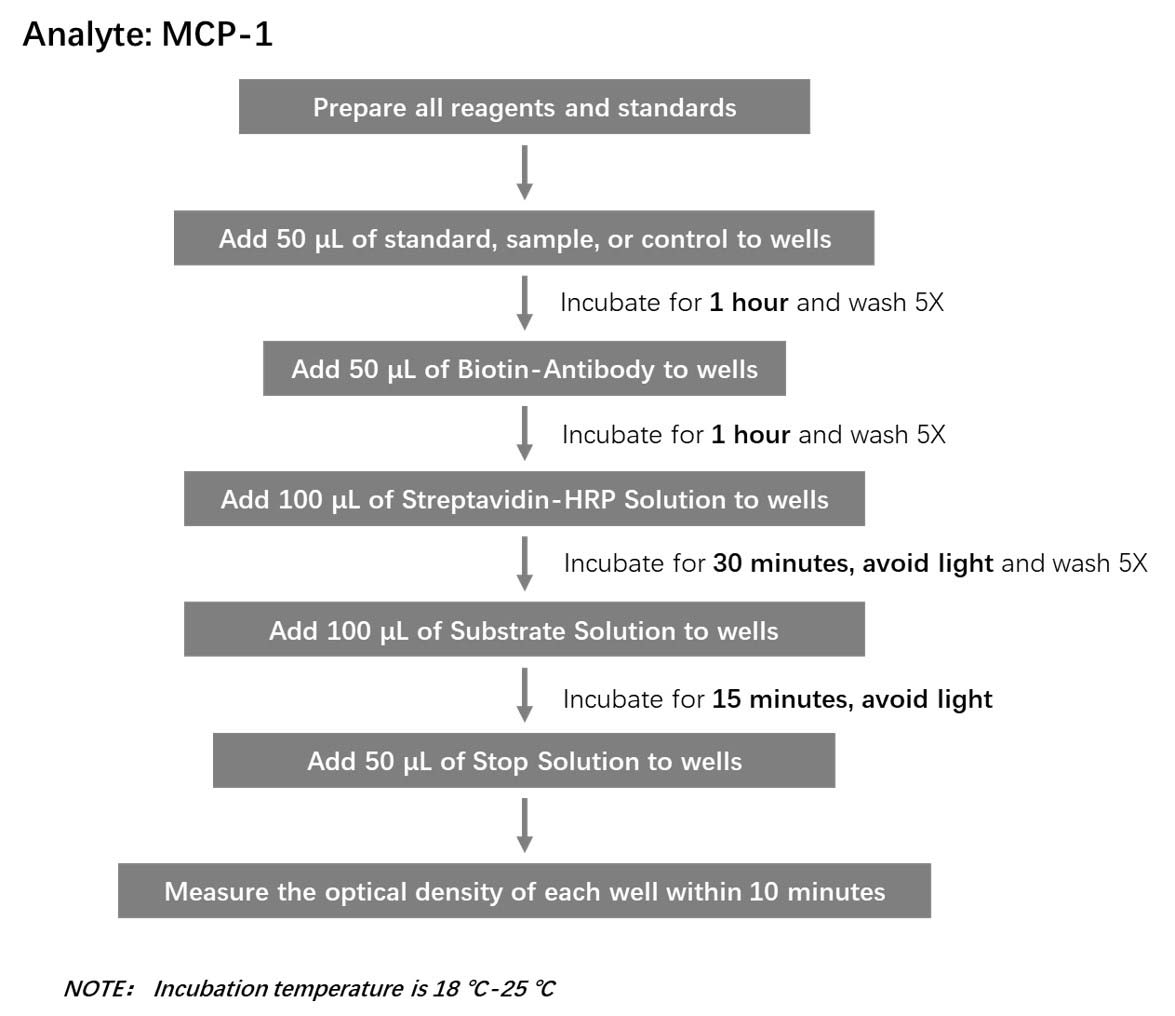  CCL2 Workflow