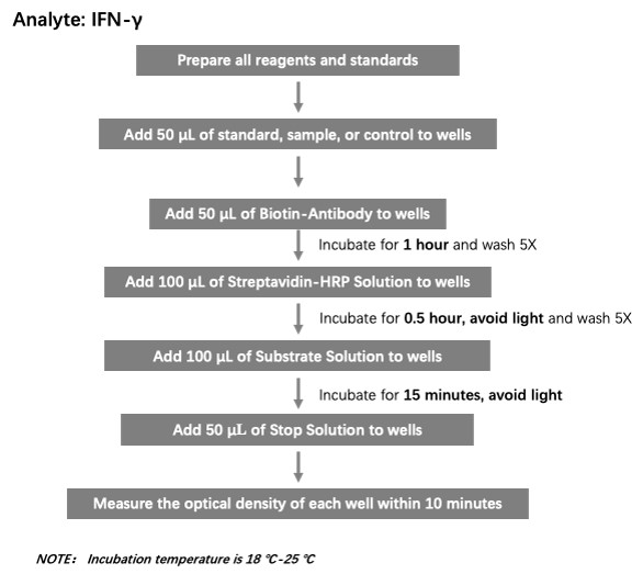  IFN-gamma Workflow