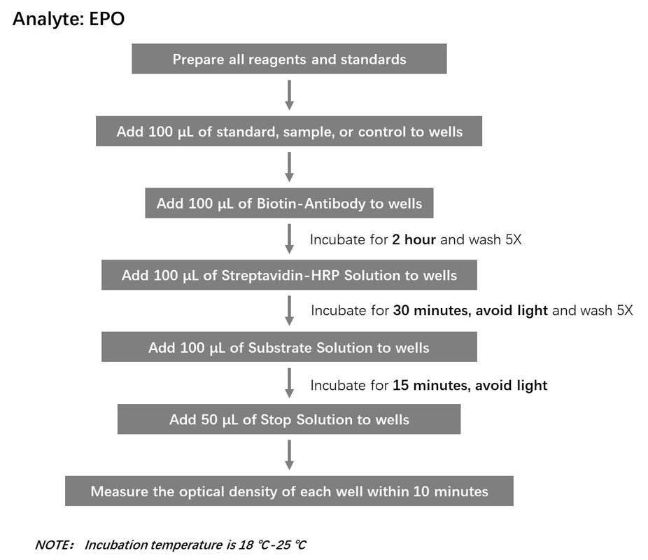  EPO Workflow