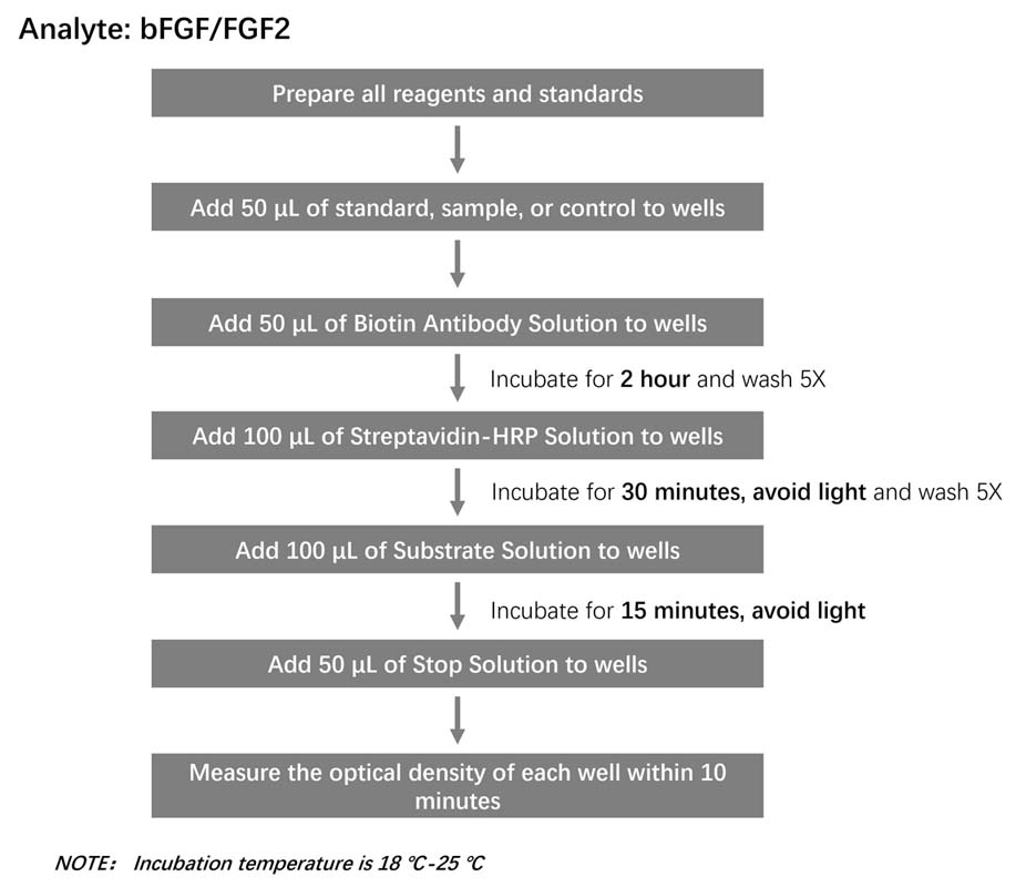  FGF basic Workflow