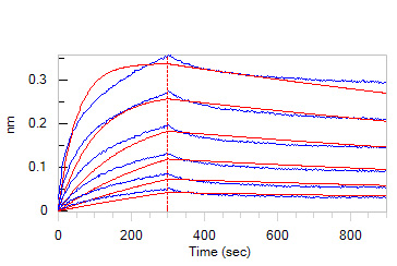  Apolipoprotein E BLI