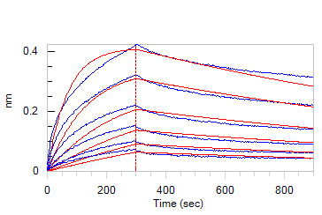  Apolipoprotein E BLI