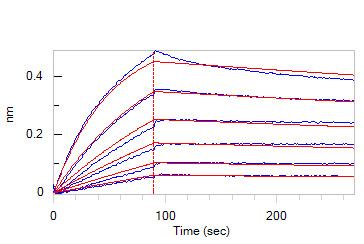  CD20 BLI