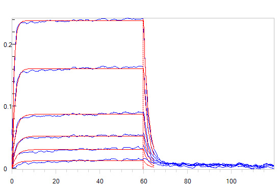 Human_FcRn_Heterodimer_Protein_Bli