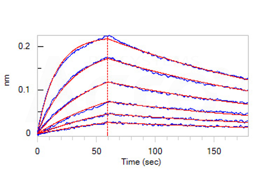  CD3E & CD3D BLI