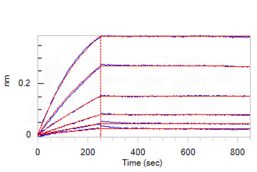  CD3E & CD3D BLI