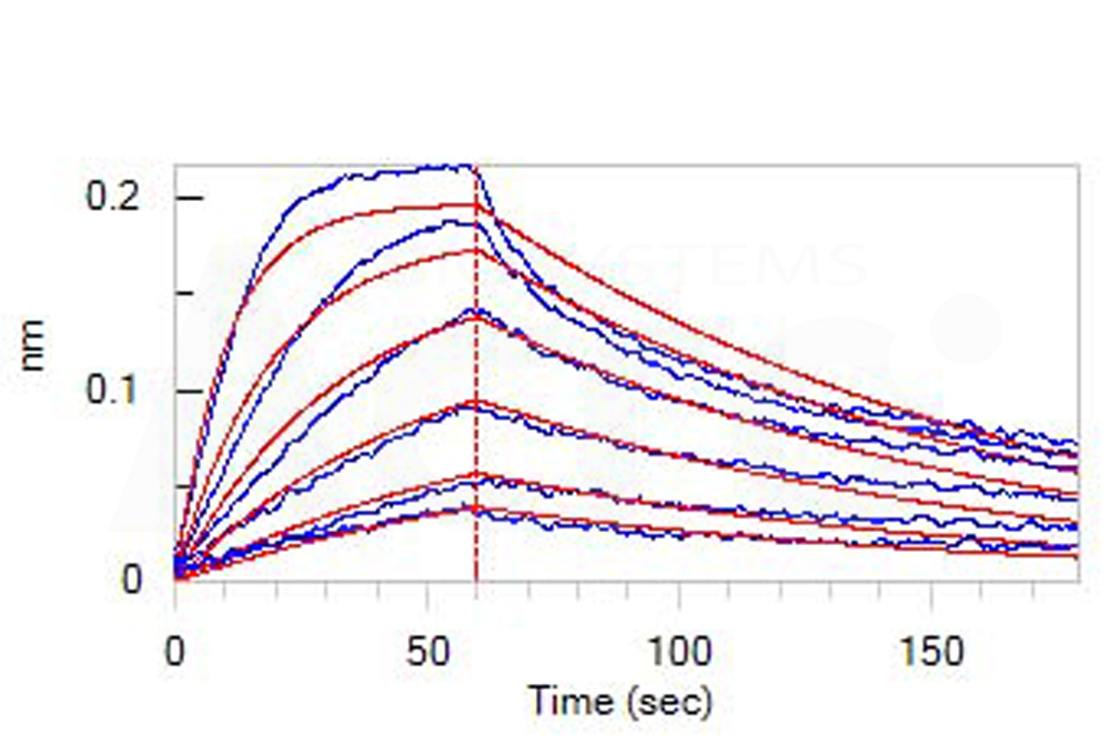  CD3E & CD3D BLI