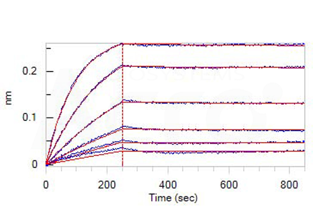  CD3E & CD3D BLI